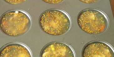 грибное заливное постное