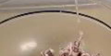 заливное из морепродуктов в бокалах