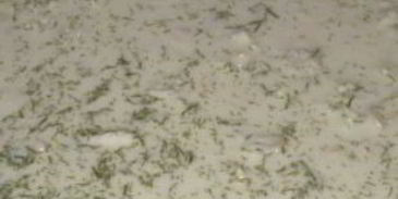 заливное из рыбы трески