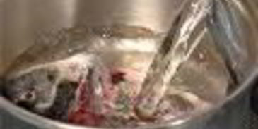 заливное из сибаса c красной икрой