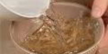 заливное из свиного языка с опятами