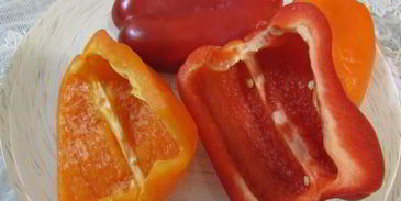 заливное морское дно