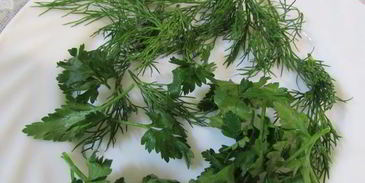 заливное морское дно