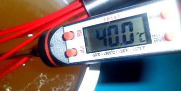 заливное новогодний петушок