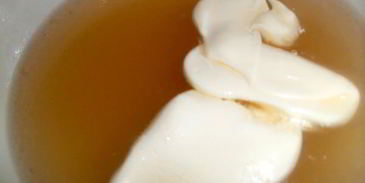 заливное новогодний петушок