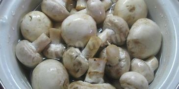 жульен парижский шик