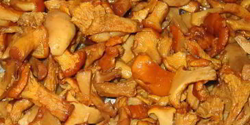 жульен в булочках