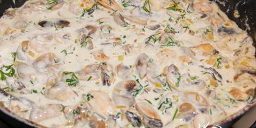 жюльен аристократ