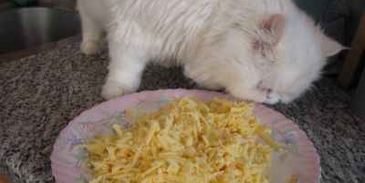 жюльен по-русски